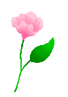 flower1.gif - 2.3 K