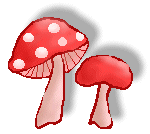 mushrooms2s.gif - 6.0 K