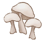 mushrooms3.gif - 5.1 K