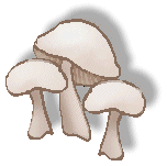 mushrooms3s.gif - 6.5 K