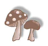 mushrooms4s.gif - 4.2 K